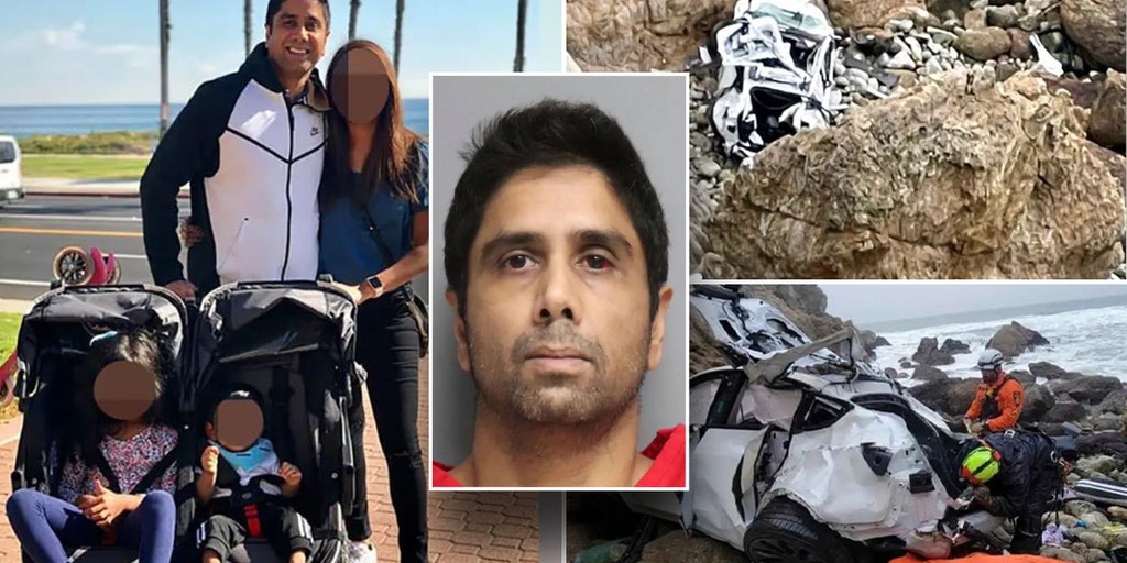 California doctor was suffering delusions when he drove Tesla off cliff with family inside: psychologist - Vimarsana News