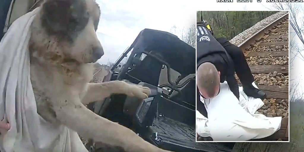 Deputies rescue injured dog stranded on train tracks for days | Fox News