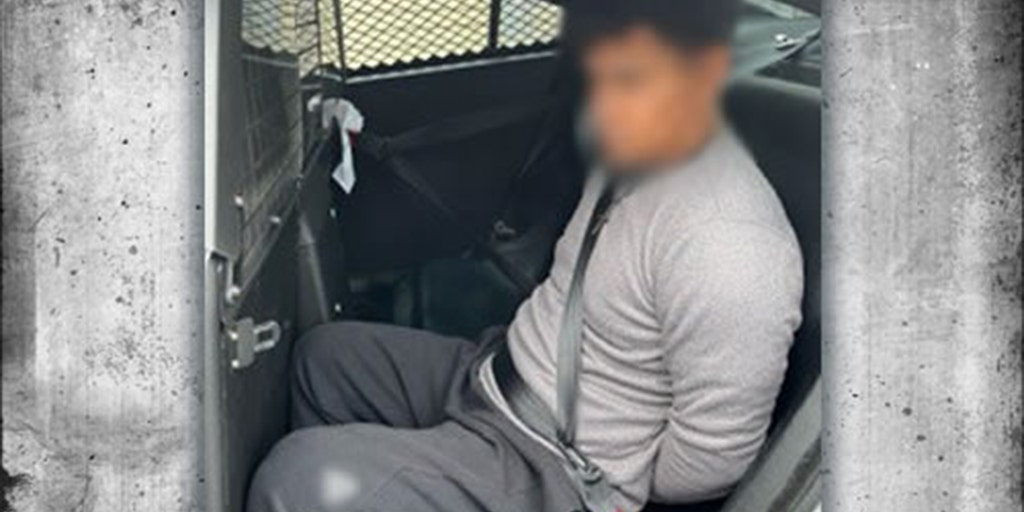 'Significant threat': ICE tracks down illegal immigrant charged with child sex crime - Vimarsana News