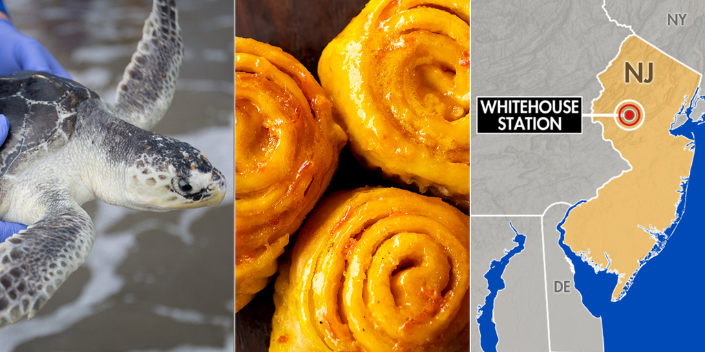 Weekend read: An earthquake hits the northeast, tasty American food stories and more - Vimarsana News
