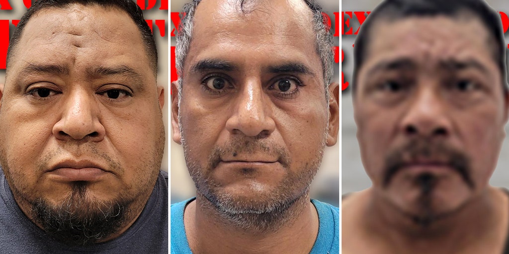 3 illegal immigrant child sex offenders captured while entering Texas in a single weekend - Vimarsana News
