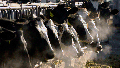 A line of Holstein dairy cows feed through a fence at a dairy farm in Idaho on March 11, 2009. As of April 11, 2024, a strain of the highly pathogenic avian influenza, or HPAI, that has killed millions of wild birds in recent years has been found in at least 24 dairy cow herds in eight U.S. states: Texas, Kansas, New Mexico, Ohio, Idaho, Michigan and North Carolina and South Dakota.