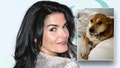 Angie Harmon shared a message about God after her dog, Oliver, was shot and killed.