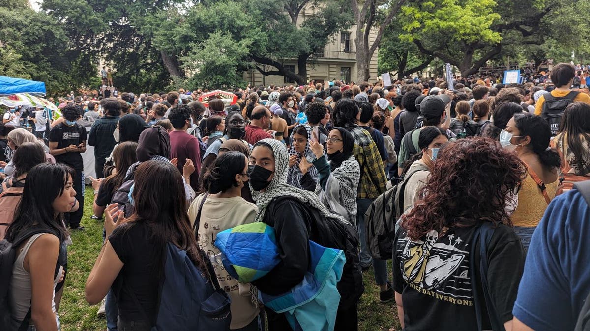 Hundreds of protesters astatine UT Austin