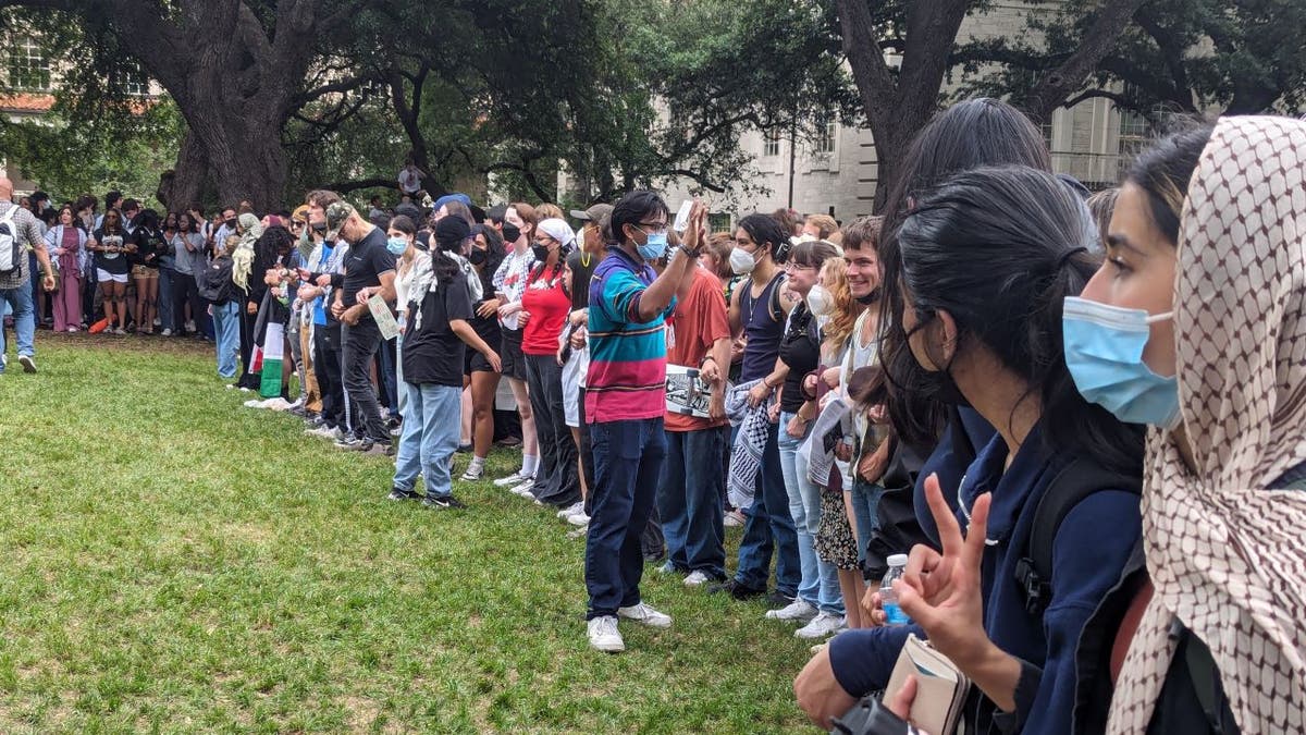 UT Austin protesters opinionated together