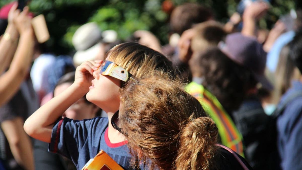 eclipse glasses