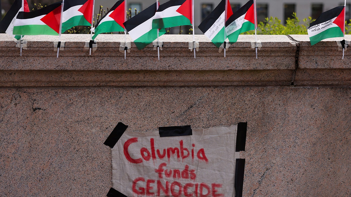 Palestinian flags at Columbia