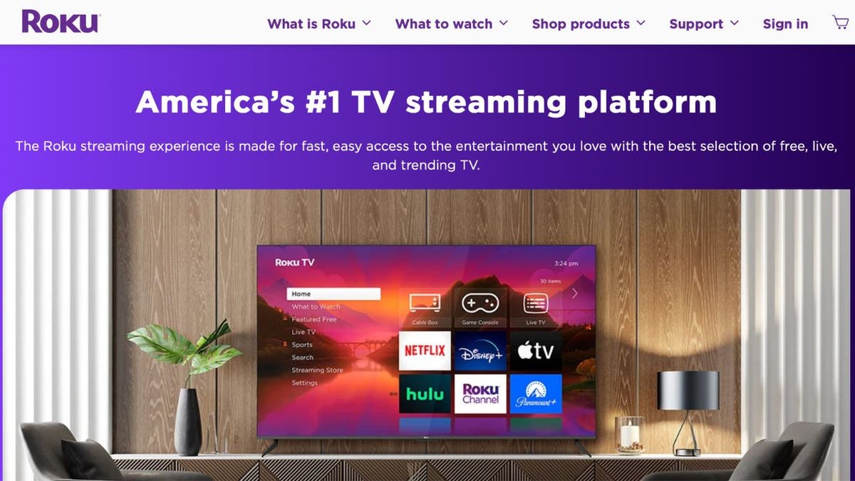 Photo of Roku's website