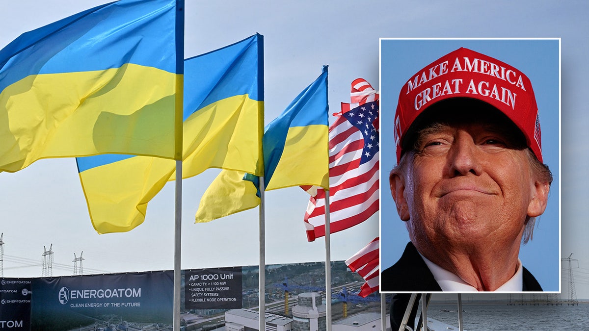 Donald Trump Ukraine flag
