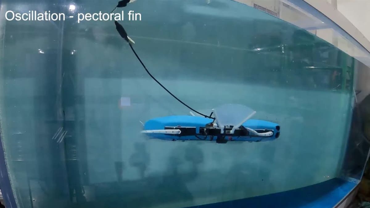 The shape-shifting underwater robot pioneering the depths of the sea