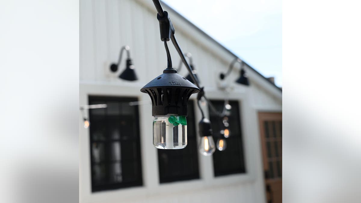 Light up your yard while protecting it from bugs.