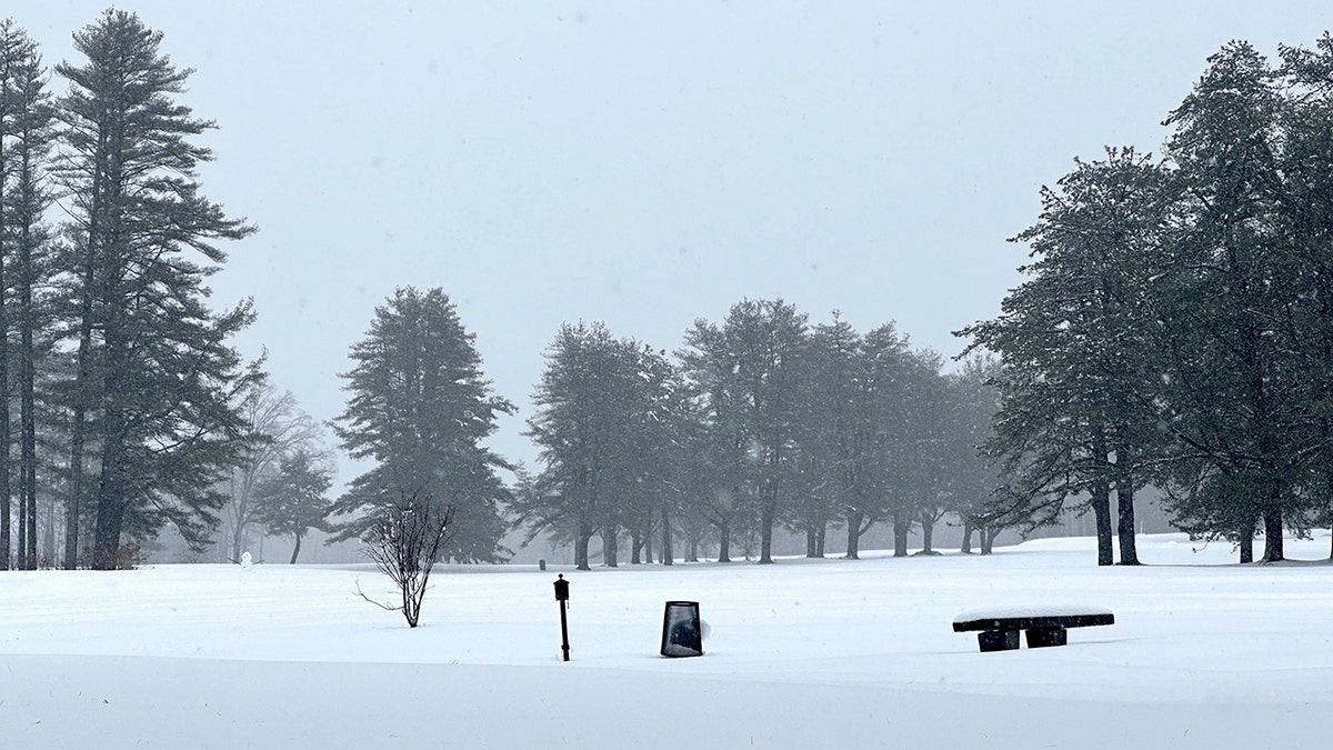 Snow in field