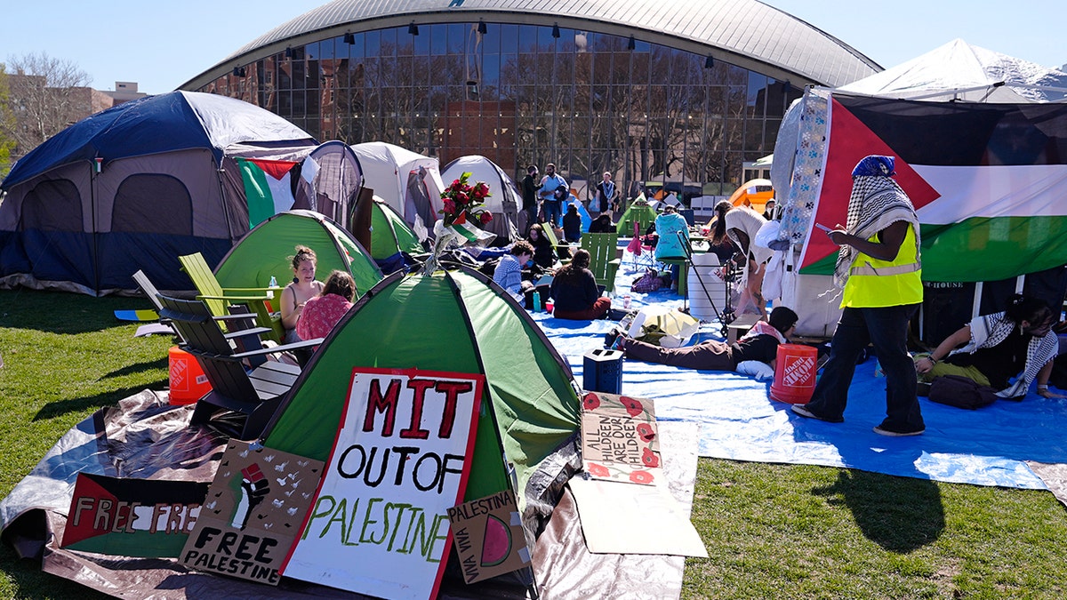 Protesters, tents, signs