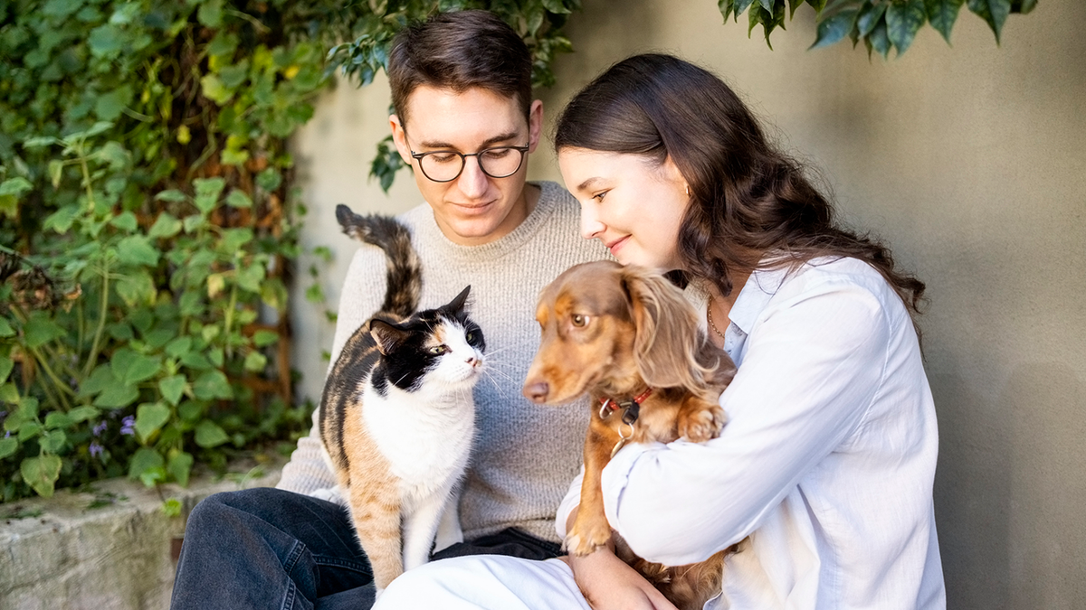 Encuentra algo para tu gato o perro en oferta ahora durante el evento de rebajas para mascotas de Amazon.