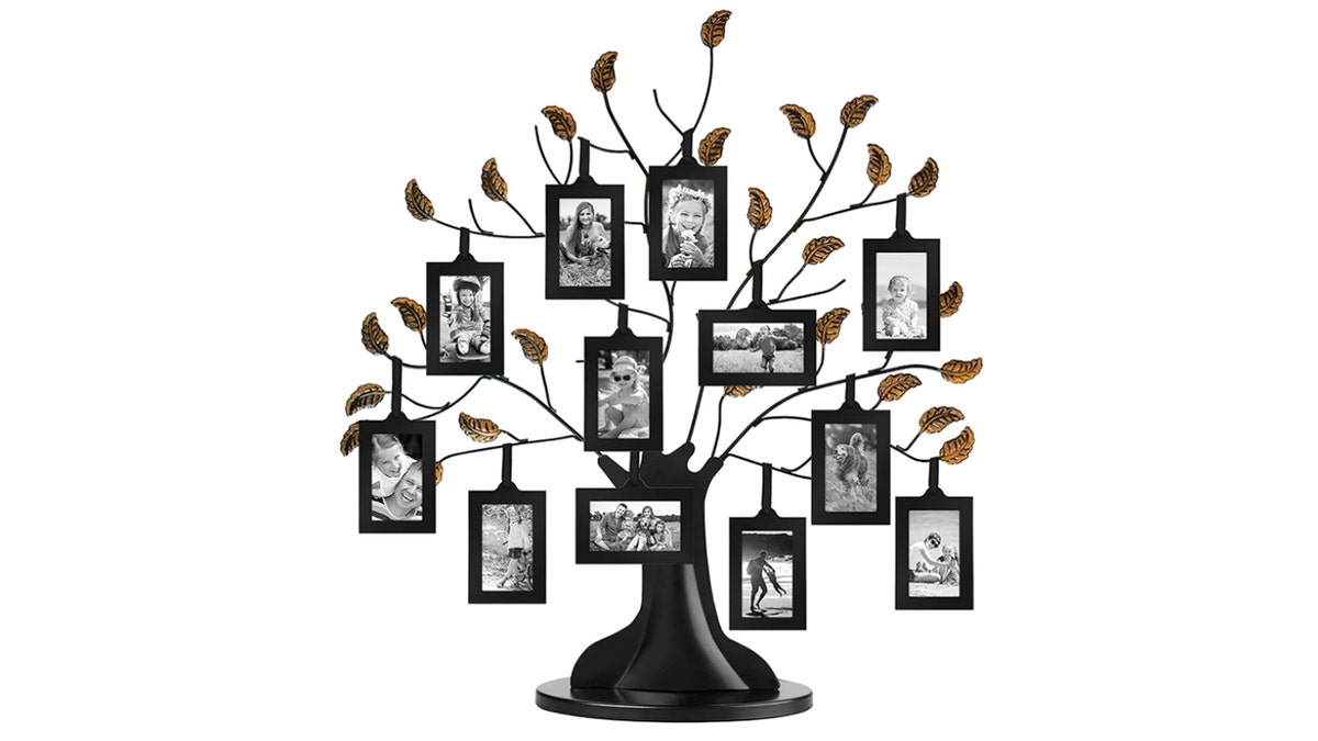 Amazon-photo-tree-ECOMM