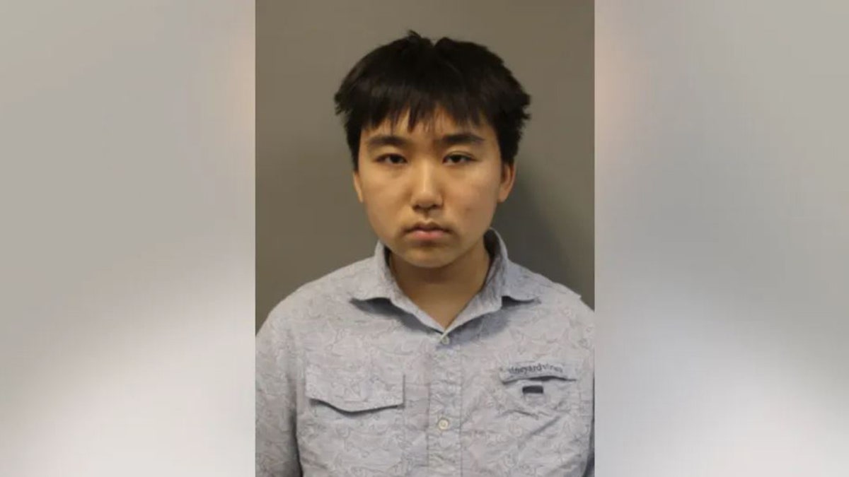 Mugshot of Andrea Ye