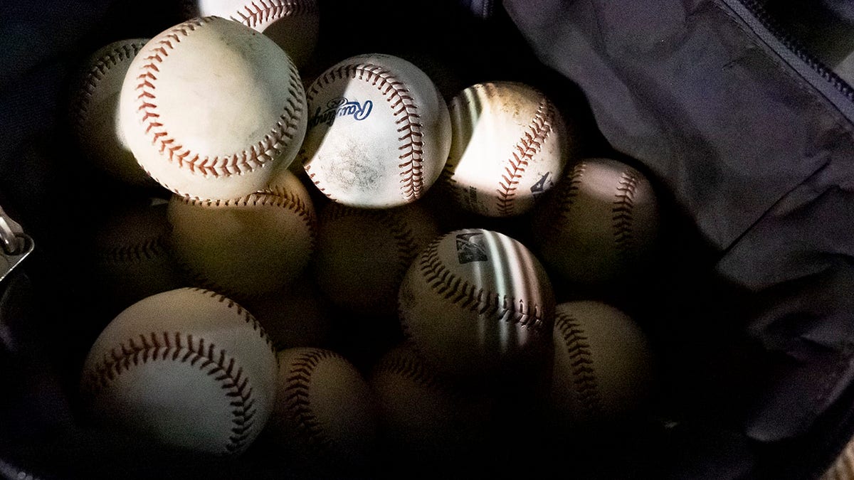 Bag of baseballs