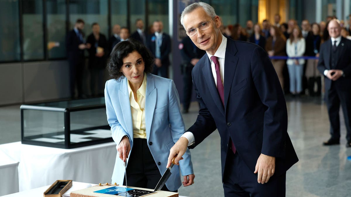 A cake cutting ceremony to mark the 75th anniversary of NATO