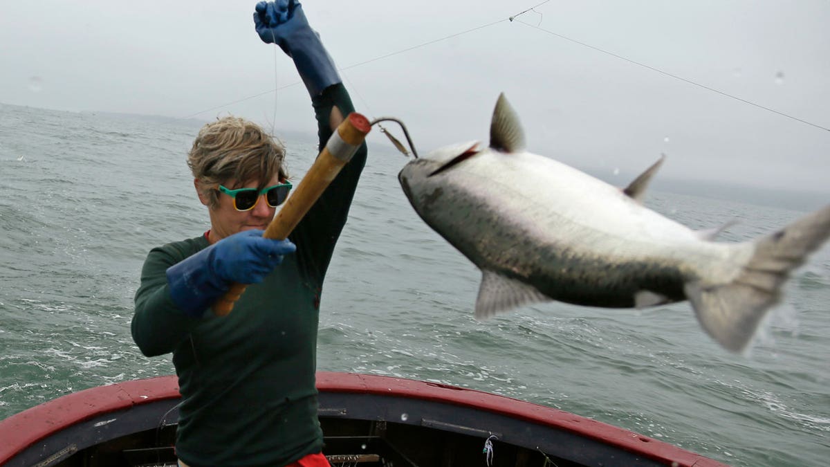 CA salmon fishing canceled for second year in row as population