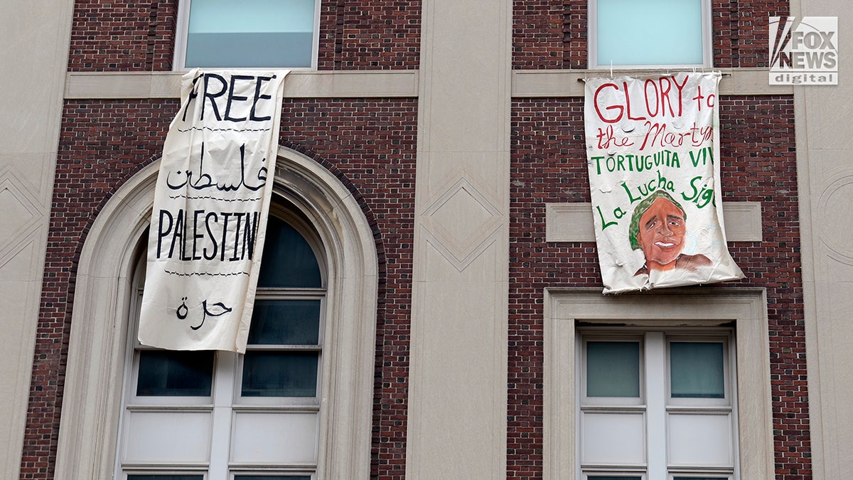 Anti-Israel protesters hang signs from Columbia University in New York City