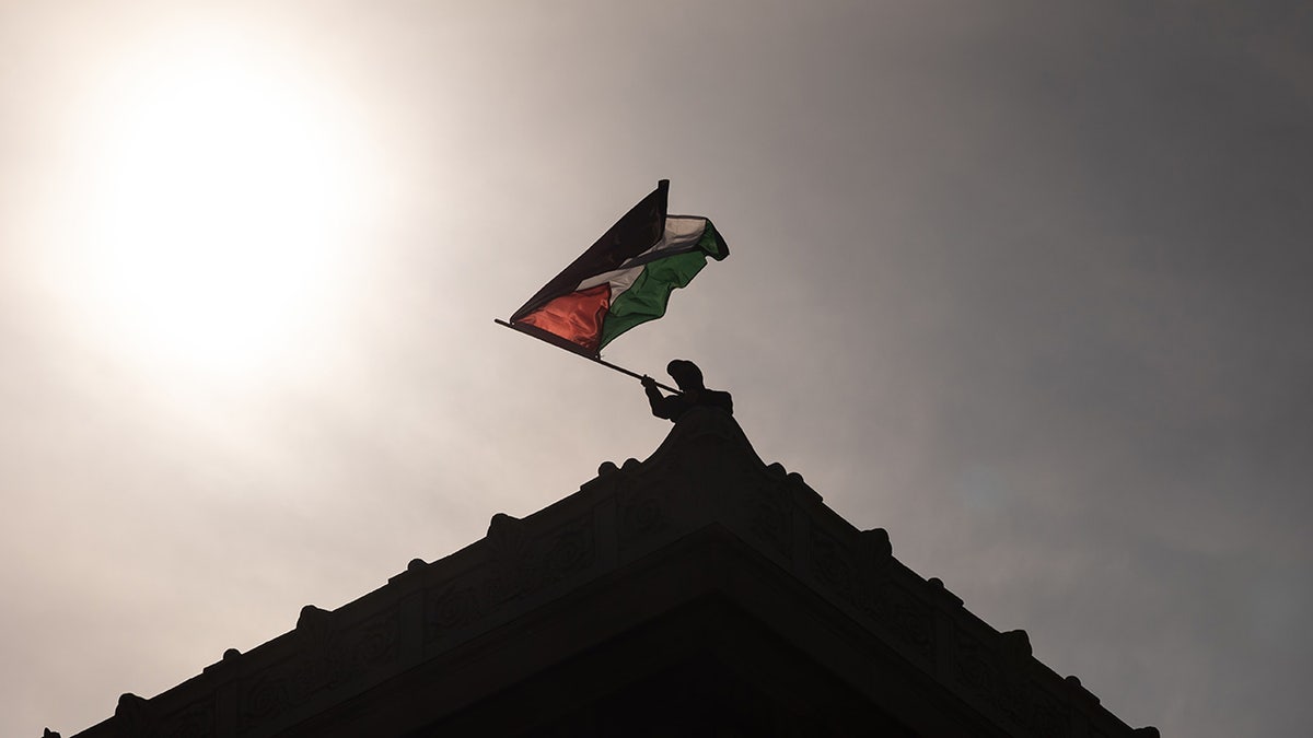 A pro-Palestinian demonstrator holds a emblem connected nan rooftop of Hamilton Hall astatine Columbia University