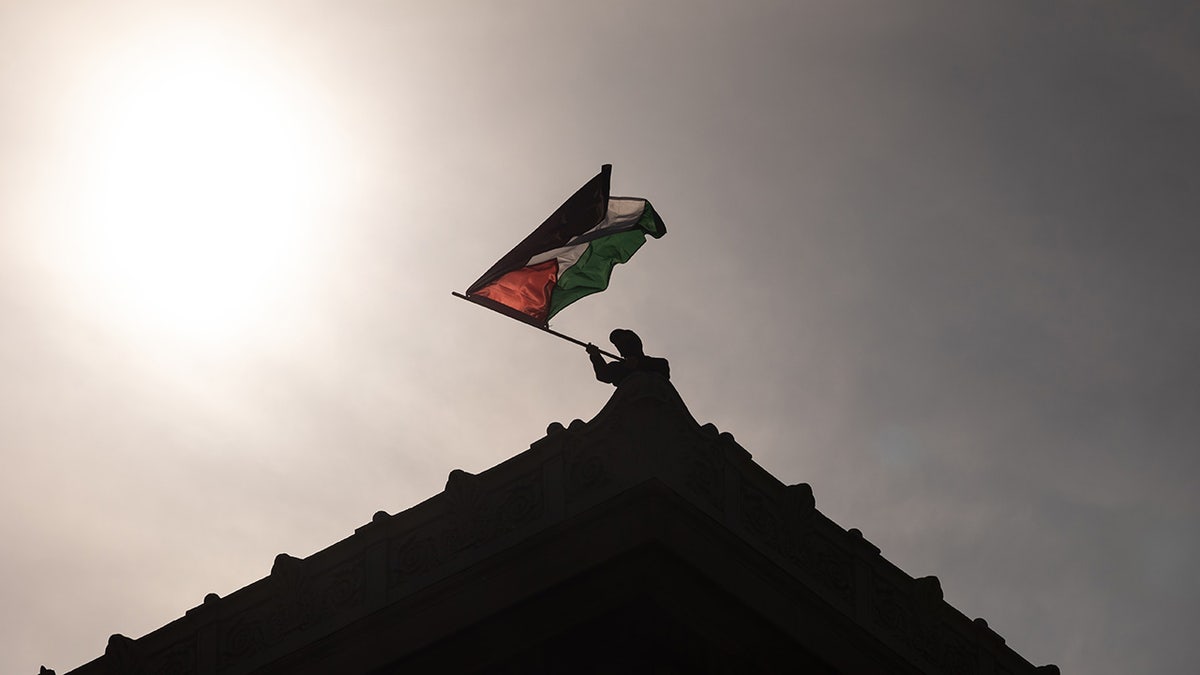 A pro-Palestinian protester holds a flag on the roof of Columbia University's Hamilton Hall.