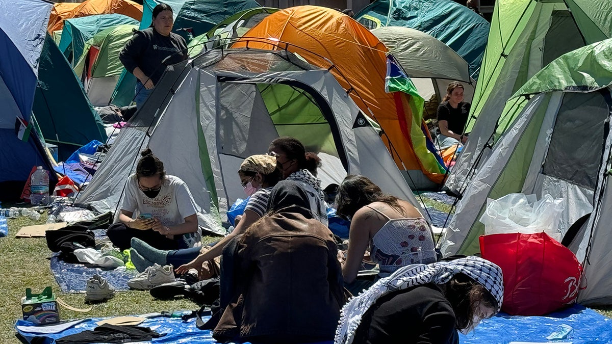 Agitadores antiisraelíes construyen un campamento en el campus de la Universidad de Columbia