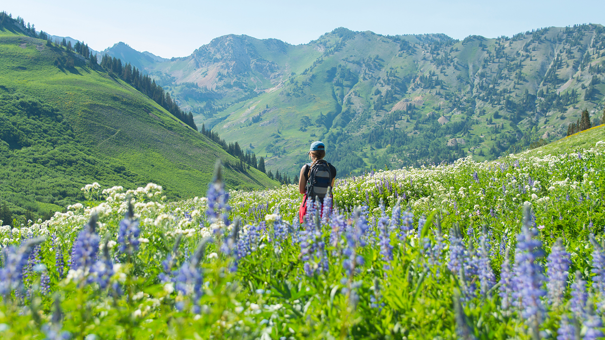 Ski towns transform into summer paradises once the snow has melted.