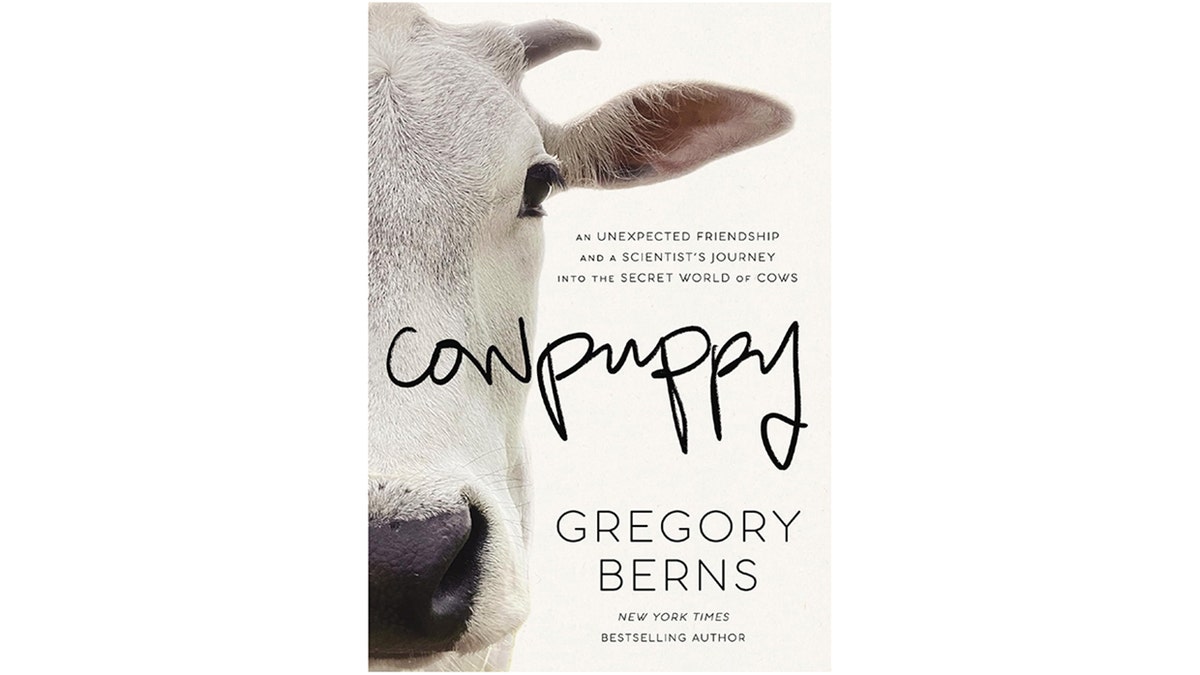 Cowpuppy Gregory Berns