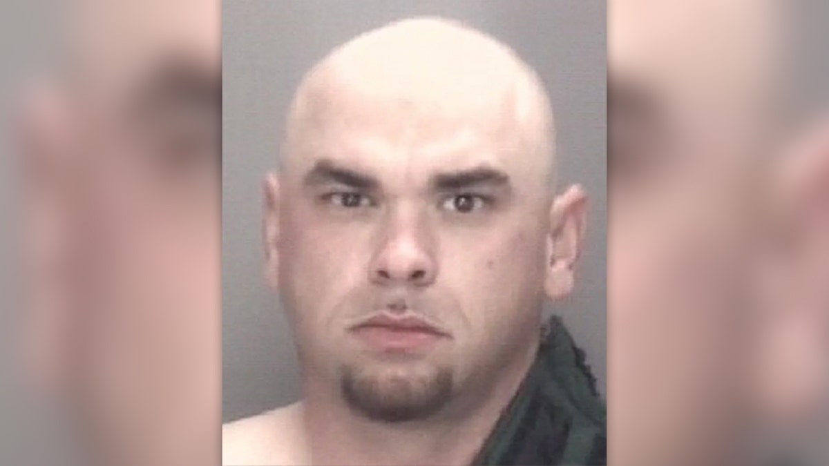Ricky Alex Driggers mugshot shows him with a bald head, goatee and bushy eyebrows.