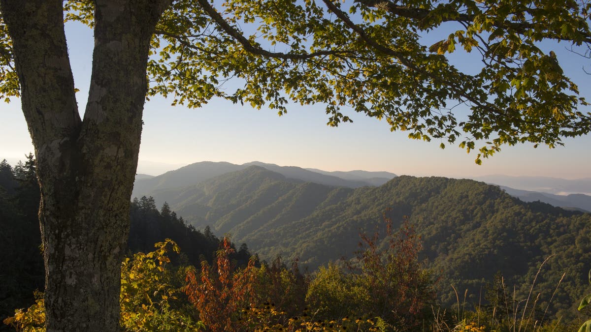 Fall season at the Smoky Mountains