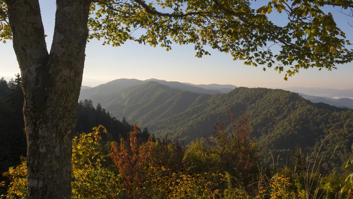 Fall season at the Smoky Mountains