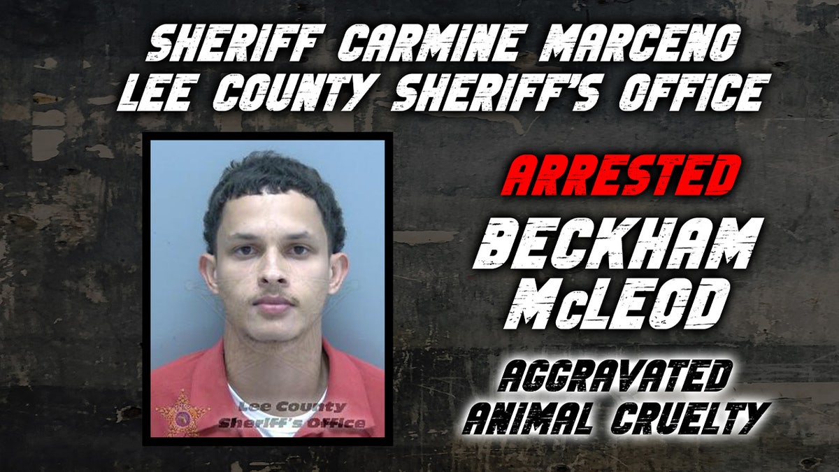 Florida man caught on camera taking off his shoes, stomping on his pit bull puppy Beckham McLeod
