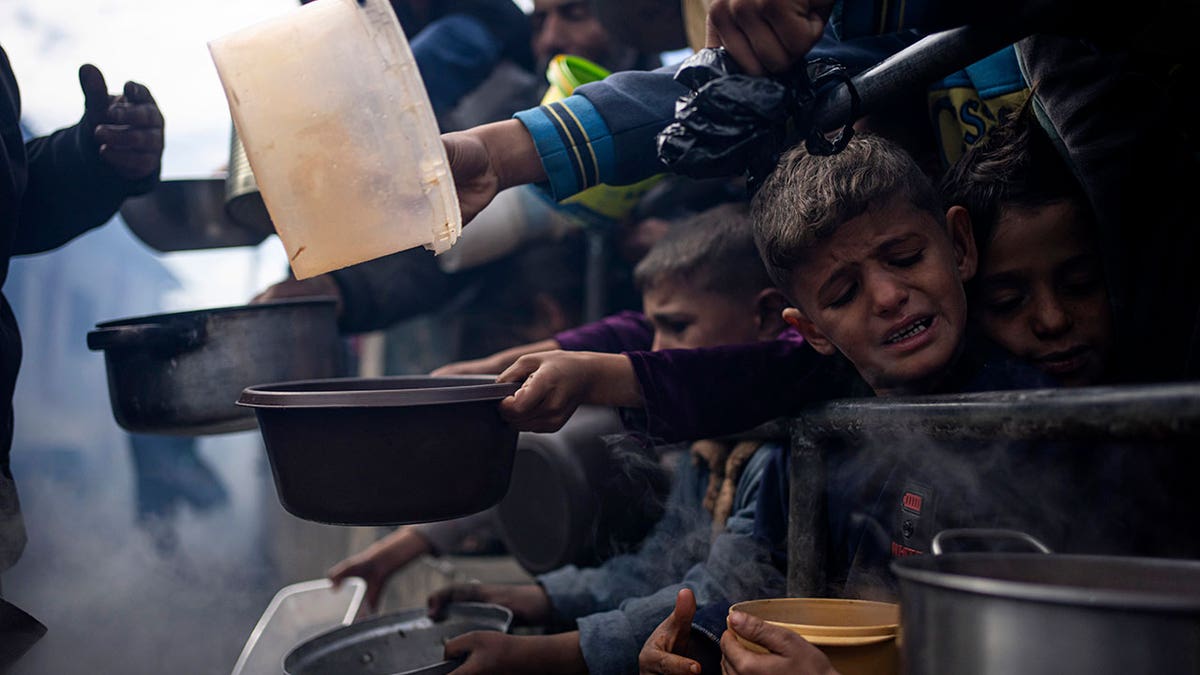 Palestinians line up for food