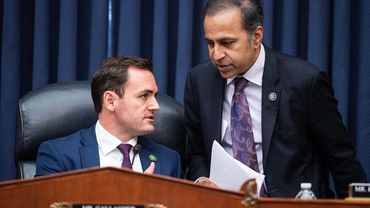 Mike Gallagher and Raja Krishnamoorthi