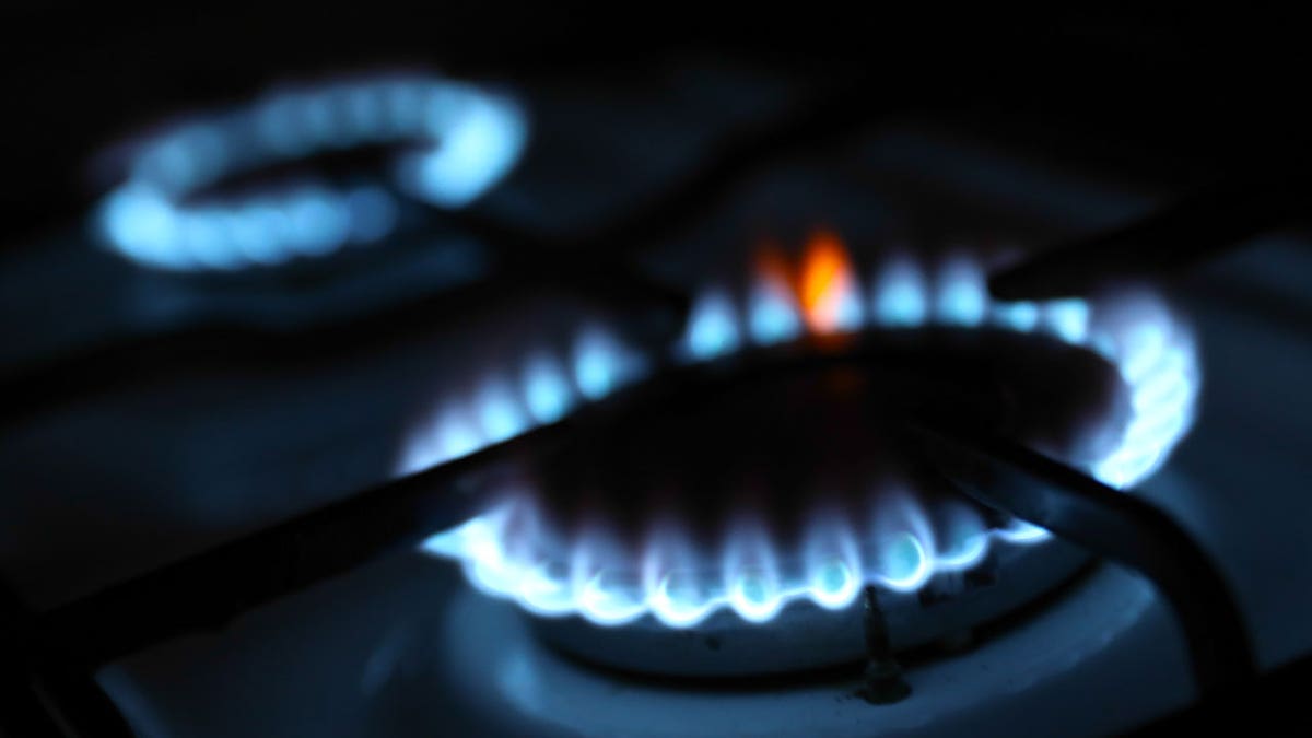 Gas stove