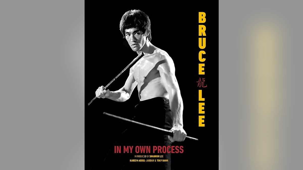 Book cover for In My Own Process