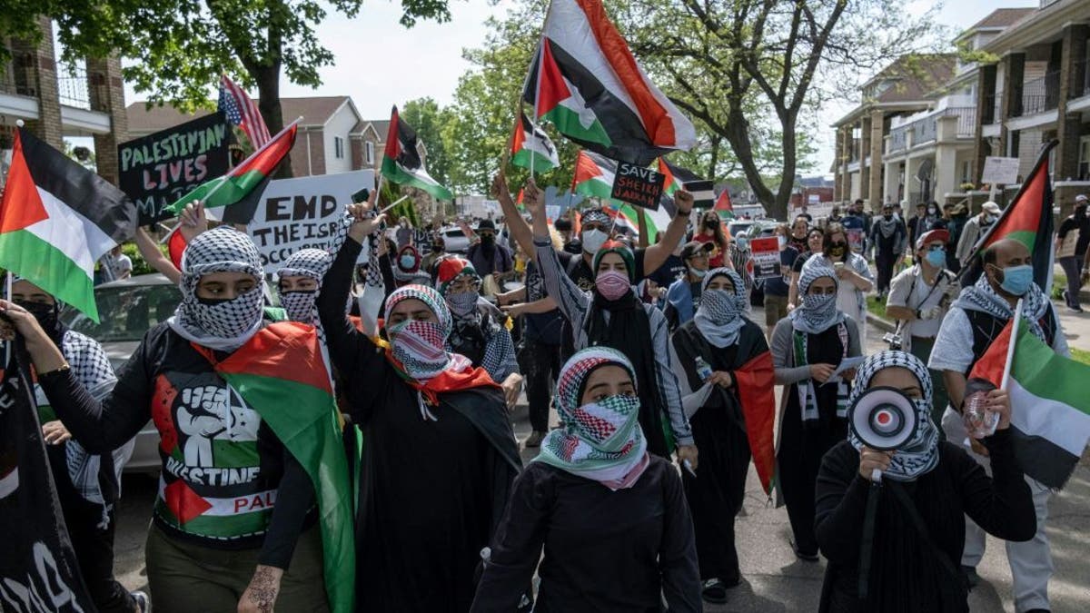 pro-Palestinian march successful May 2021 successful Dearborn, Michigan