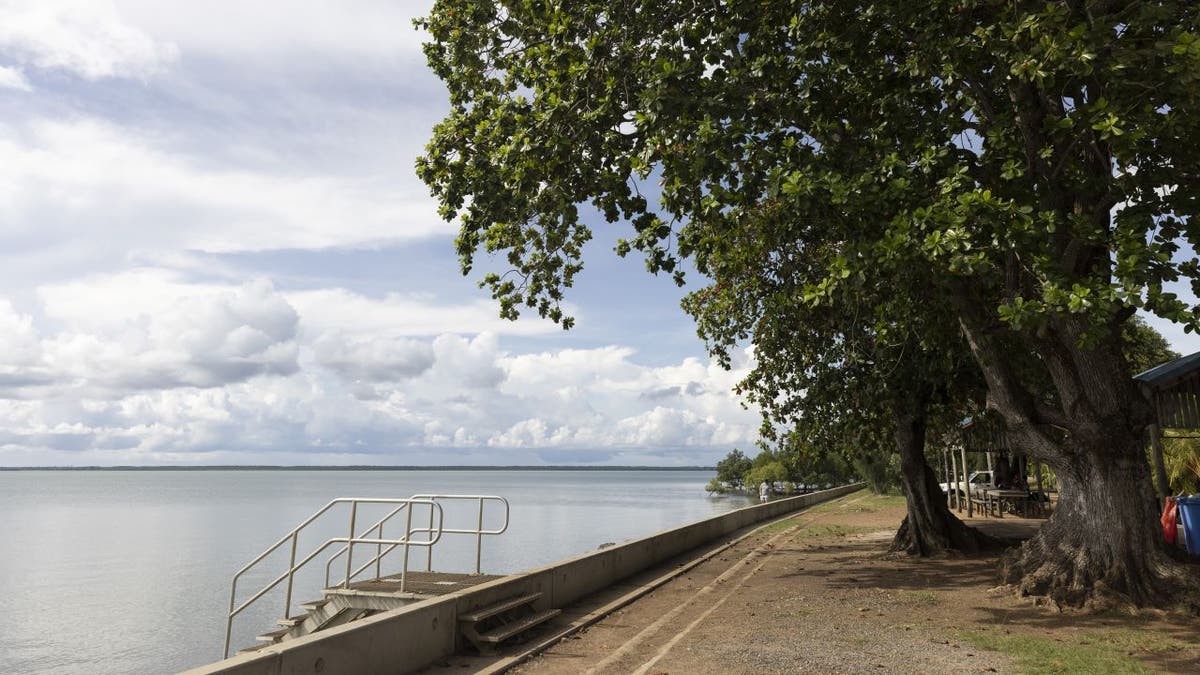 Trees and shore on Saibai Island