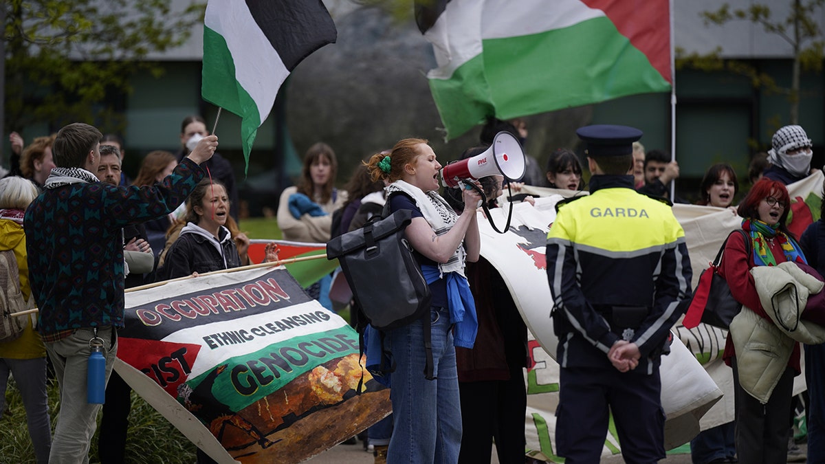 demonstrators in dublin