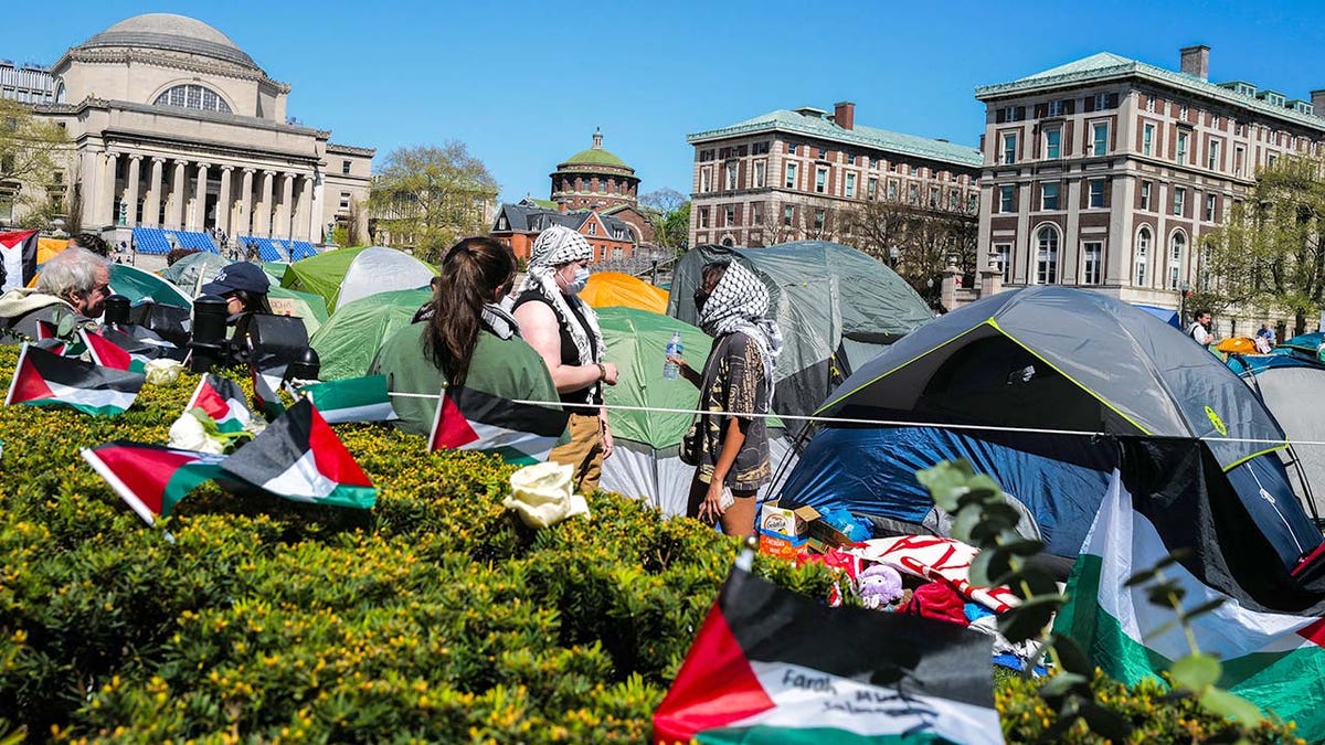 Pro-Palestian protesters stitchery connected Columbia University's campus