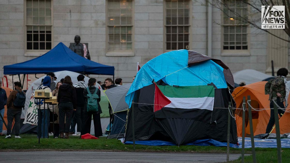 Protestors set up tents
