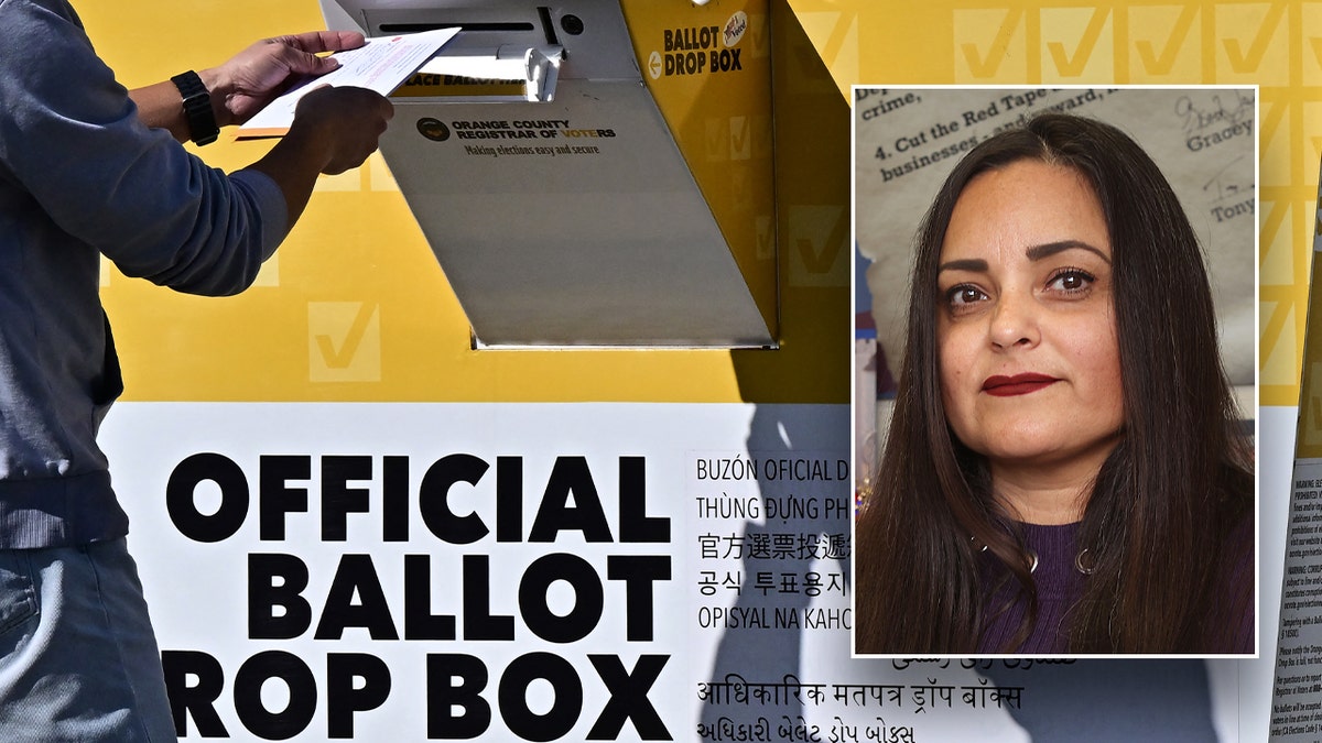 Mayor Van Der Mark, right inset; left image: man drops ballot into drop box