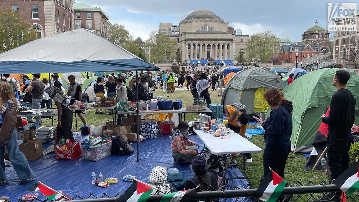 Columbia University protesters feline campsite afloat of tents, keffiyahs and folding tables