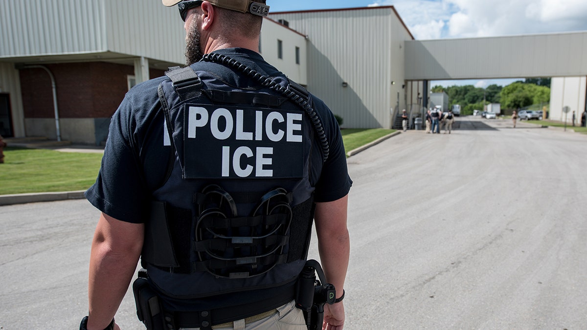 US Immigration and Customs Enforcement's (ICE) special agent