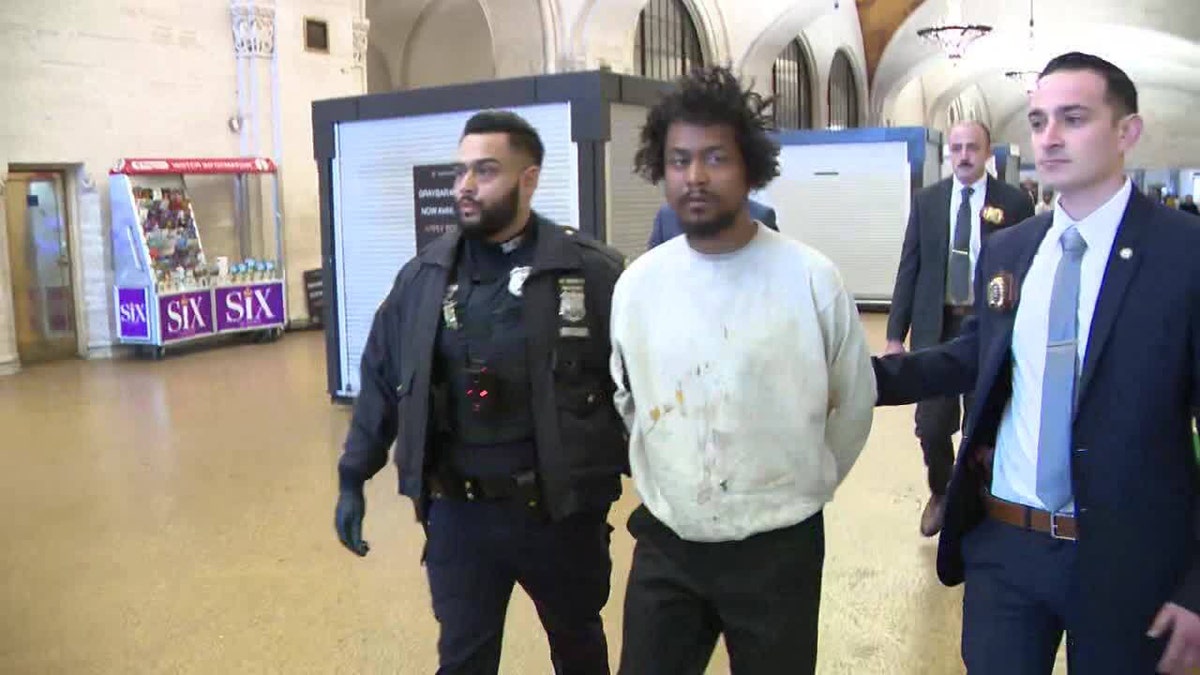Grand Central Terminal assault suspect