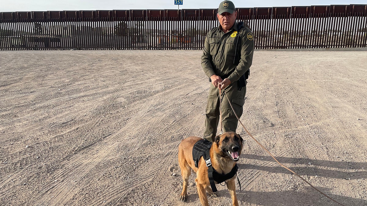 K9 canine border