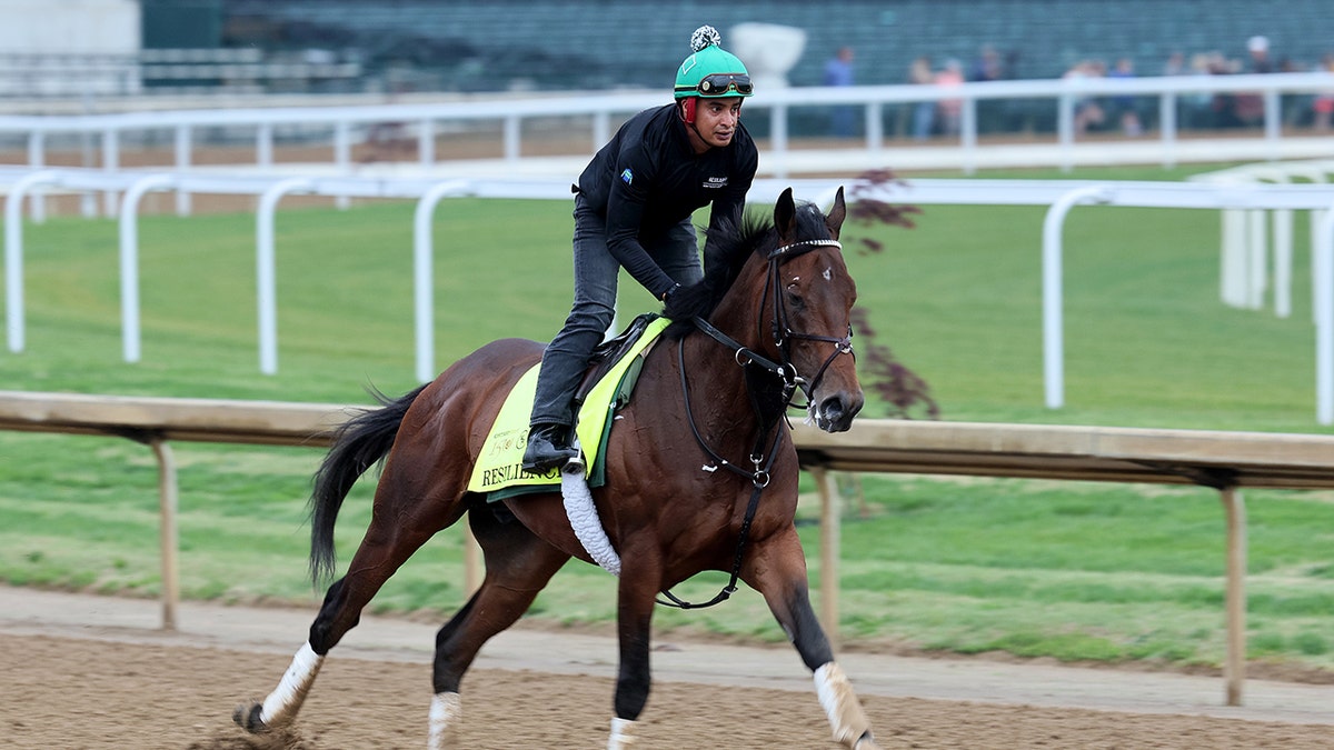 A horse runs on the track