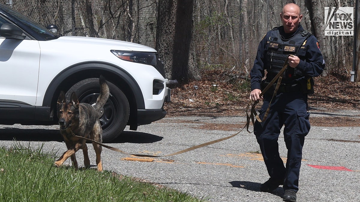 A Suffolk County constabulary serviceman and K-9 portion searches a wooded area successful Manorville, Long Island