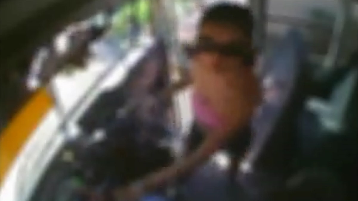 Mesa Bus Driver Assault Video